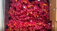 BOC taking new tack to end agricultural smuggling