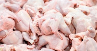 DA bans bird, poultry, egg from Argentina
